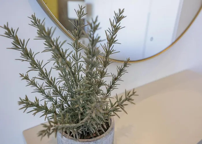 Appartement Terracos De Ii Yellow By Real